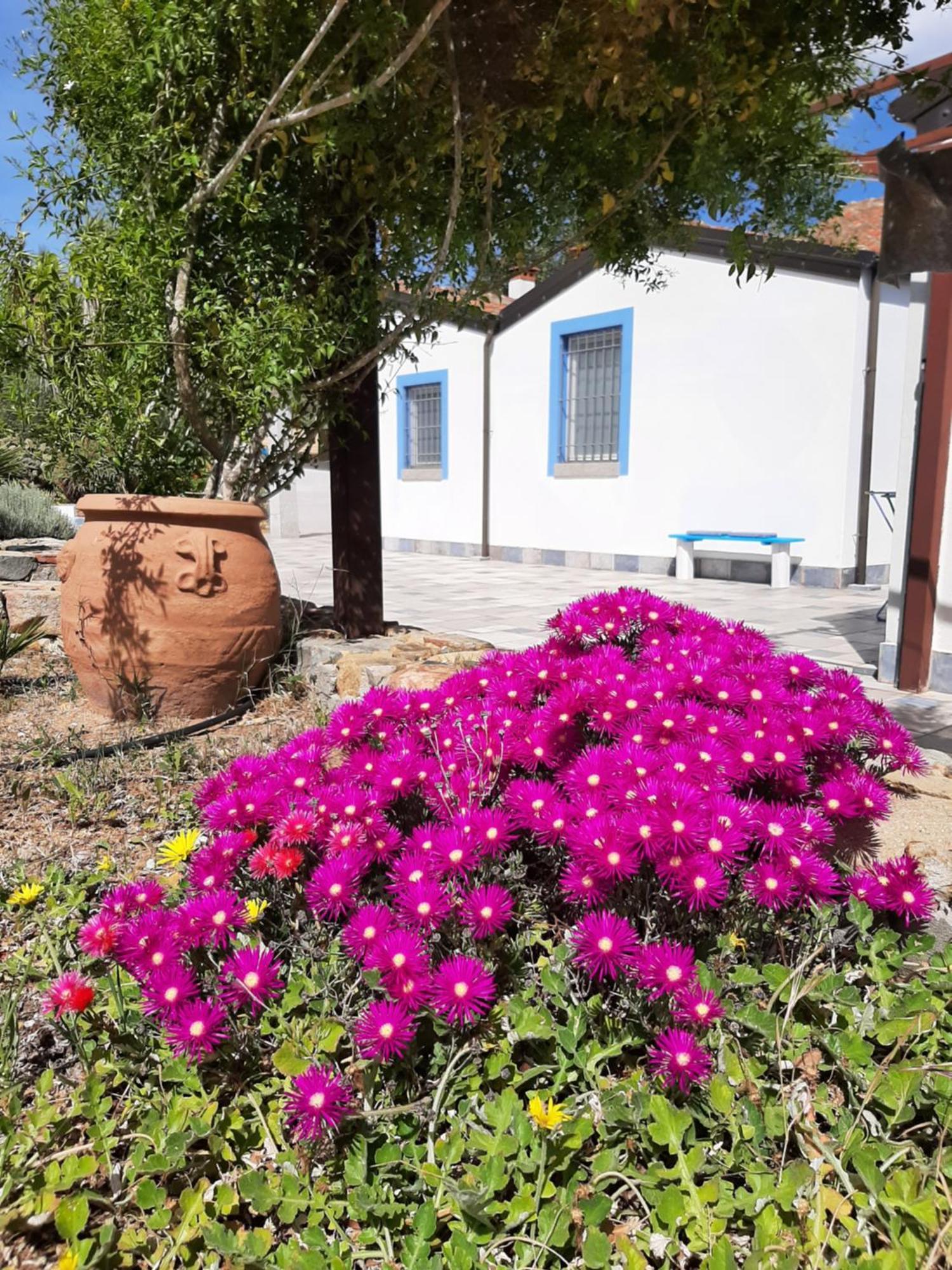 Casale Diletta Castiadas Exterior foto